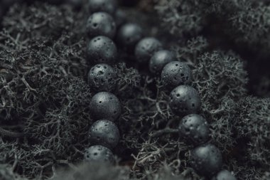 Ren geyiği yosununa siyah lav boncukları. İzlanda yosunlarının hassas dokusunda siyah lav taşından yapılmış boncuklar..