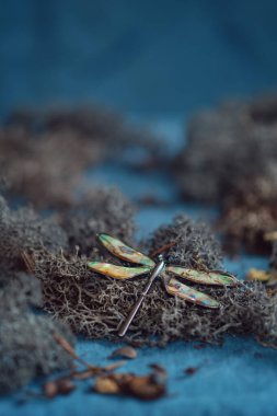 Yusufçuk Broşu, Yosun Yatağı 'nda. Göz alıcı yusufçuk broşu ve parlak kanatları ren geyiği yosunlarına karşı.