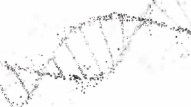 Üç boyutlu bir DNA çift sarmallı yapısının, küreleri beyaz arkaplanlı ve kopyalama alanı olan hali. Genomik sıralama, moleküler biyoloji ve genetik veri analizi
