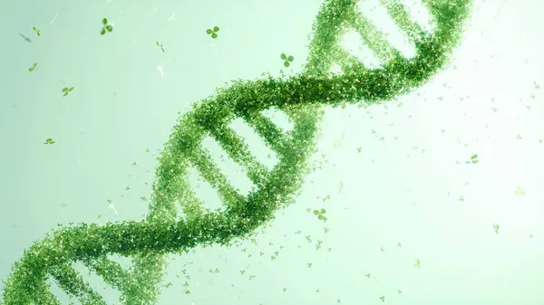 Yumuşak yeşil arka planda yeşil yapraklardan yapılmış çift sarmallı DNA yapısı. Biyoenformatik ve yeşil teknoloji kavramı, eko-bilimsel tasarım, çevresel farkındalık