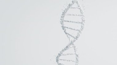 Temiz bir arkaplana karşı beyaz DNA sarmalı. Genetik saflık ve tıbbi araştırma.