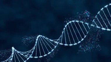 Parlak DNA sarmal yapısı mavi ve kırmızı. Genetik araştırma, biyoenformatik ve hesaplama biyolojisi yüksek teknoloji konsepti.