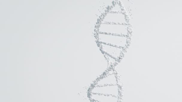 Двойная Спираль Днк Белом Чистом Фоне Генетическая Чистота Медицинские Исследования — стоковое видео