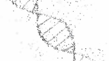 Üç boyutlu bir DNA çift sarmallı yapısının, küreleri beyaz arkaplanlı ve kopyalama alanı olan hali. Genomik sıralama, moleküler biyoloji ve genetik veri analizi