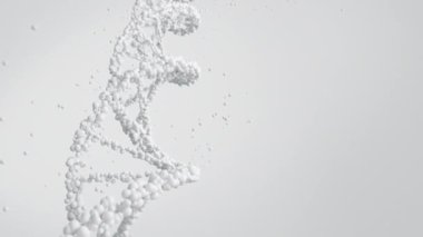Temiz bir arkaplan karşısında beyaz DNA çift sarmal. 
