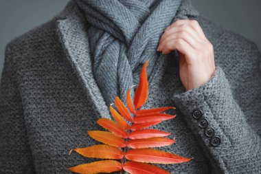 Gri örgü ceket, mavi eşarp, kadın eli ve sonbahar yapraklarının yakın çekimi. Kış, sonbahar sıcak yün giysiler.