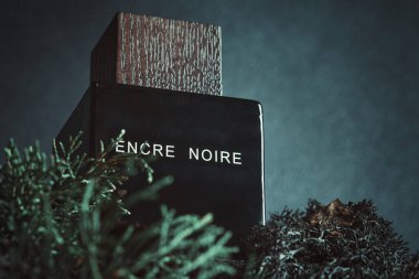 KYIV, UKRAINE - JULY 31, 2024. Encre Noire Lalique perfume bottle surrounded by dark moss and coniferous needles. clipart