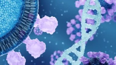 Üç boyutlu virüs parçacığının lipid bikatmanı ve mavi arka planda DNA sarmalı olan proteinleri detaylandırılmış..