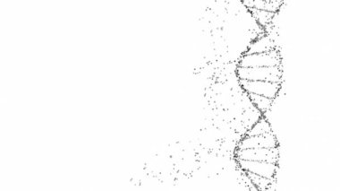 Üç boyutlu bir DNA çift sarmallı yapısının, küreleri beyaz arkaplanlı ve kopyalama alanı olan hali. Genomik sıralama, moleküler biyoloji ve genetik veri analizi