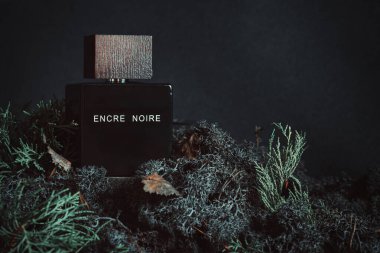 KYIV, UKRAINE - JULY 31, 2024. Encre Noire Lalique perfume bottle surrounded by dark moss and coniferous needles. clipart