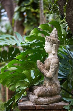 Buda heykeli, Tayland 'a yakın.