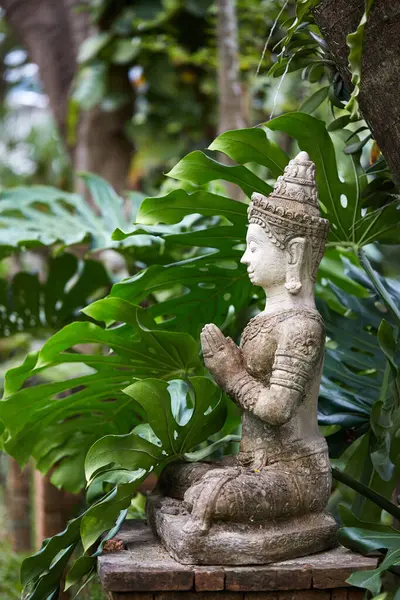 Zbliżenie Posągu Buddy Tajlandia — Zdjęcie stockowe