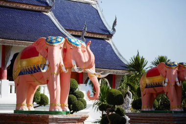 Wat phra doi susup tapınağı Chiang Mai, Tayland.