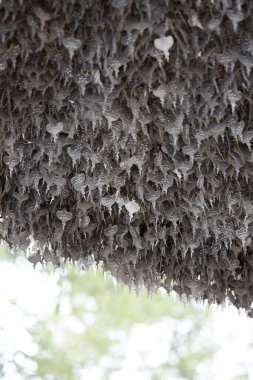 Tayland tapınağındaki metal dua tabletleri