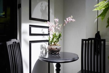 Bahçedeki güzel çiçekler