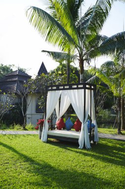 Tropik plajda düğün töreni