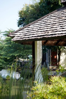 Parkın güzel manzarası