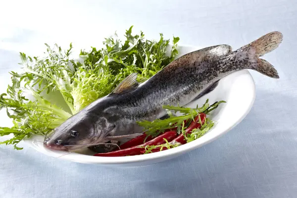 Närbild Färska Ingredienser Vild Fisk — Stockfoto
