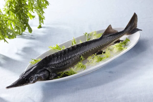 Close Ingredienti Freschi Pesce Selvatico — Foto Stock
