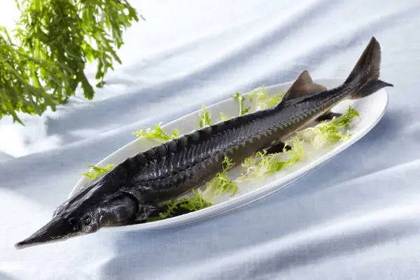 Färska Ingredienser Vild Fisk — Stockfoto