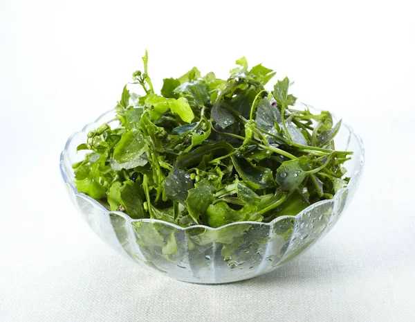 Frischer Salat Schüssel Isoliert Auf Weiss — Stockfoto