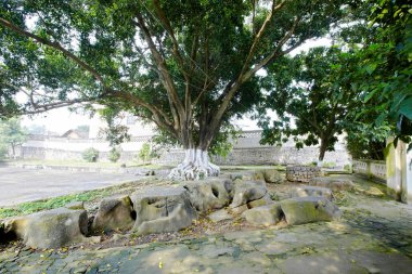 Parkın güzel manzarası