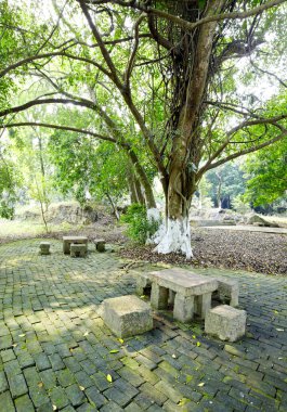 Parktaki eski ahşap bank.