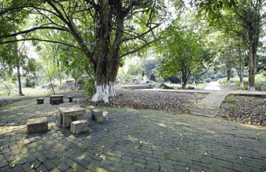 Şehirde terk edilmiş eski bir ev.