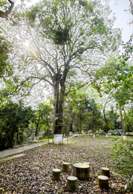 Parkın güzel manzarası