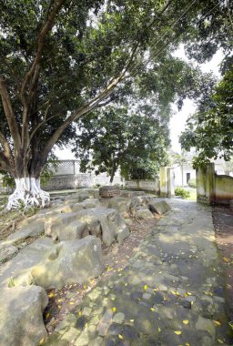 Tayland 'daki kutsal Buda tapınağı.