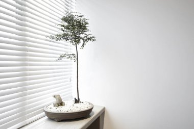 panjurlu iç tasarım