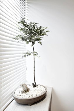 Modern bir oturma odasının iç tasarımı.