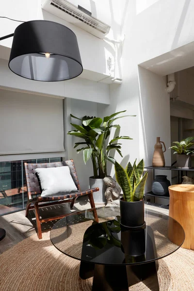 modern living room design with sofa, lamp and plant in the living room.
