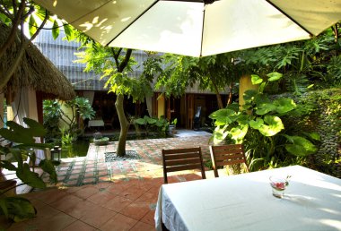 Çiçekli güzel tropikal bahçe