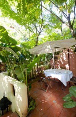 Doğanın güzel manzarası.