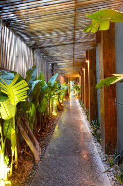 Parkın güzel manzarası