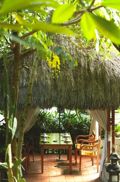 a view of a garden in a restaurant in the city of the island of zanzibar in africa