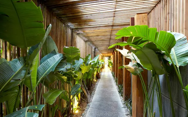 Tropikalne Rośliny Drewnianym Domu Ogrodzie Obrazy Stockowe bez tantiem