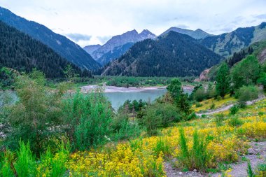 Issyk Gölü, Almaty, Kazakistan. Dağların etrafındaki dağ gölü bulutlu. Gölün etrafındaki sarı çiçeklerdeki renk aksanı