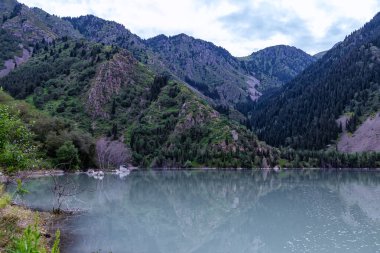 Issyk Gölü, Almaty, Kazakistan. Dağların etrafında bulutlu mavi bir göl manzarası. Pürüzsüz bir ufuk ve arka planda düz çam ağaçları.