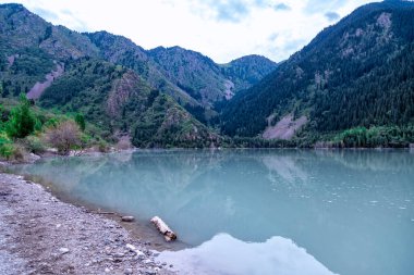 Issyk Gölü, Almaty, Kazakistan. Büyük dağların arasında, kumsalı ve ön planda kütüğü olan mavi bir göl.