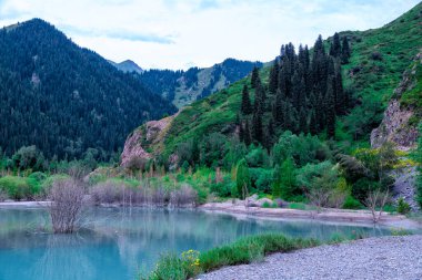 Issyk Gölü, Almaty, Kazakistan. Güneşsiz bulutlu havada güzel dağ manzarası. İnanılmaz Mavi Göl, dağların arasında kumsal, yeşil çimen ve sarp kayalıklarla