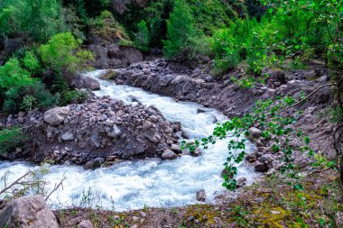 Issyk Gölü, Almaty, Kazakistan. Issyk Nehri 'nin taştan yatağı arasında, yeşil ağaçların arka planına uzanan mavi suyla dolu, fırtınalı bir nehre yakın.