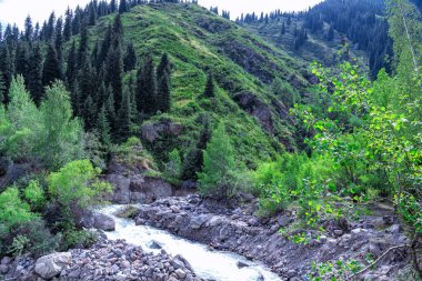 Issyk Gölü, Almaty, Kazakistan. Issyk Nehri 'nin taştan yatağı arasında, yeşil ağaçların arka planına uzanan mavi suyla dolu, fırtınalı bir nehre yakın.
