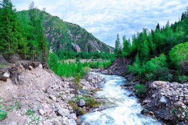 Issyk Gölü, Almaty, Kazakistan. Issyk Nehri 'nin taştan yatağı arasında, yeşil ağaçların arka planına uzanan mavi suyla dolu, fırtınalı bir nehre yakın.