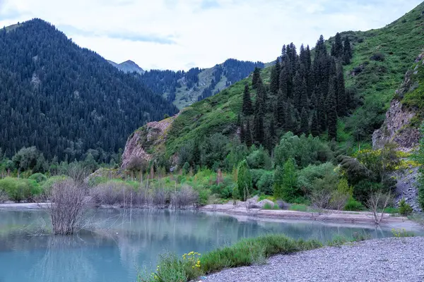 Issyk Gölü, Almaty, Kazakistan. Güneşsiz bulutlu havada güzel dağ manzarası. İnanılmaz Mavi Göl, dağların arasında kumsal, yeşil çimen ve sarp kayalıklarla