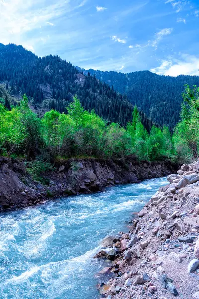 Issyk Gölü, Almaty, Kazakistan. Issyk Nehri 'nin taştan yatağında yeşil ağaçların arka planında hızla akan mavi suyu olan fırtınalı bir nehre yakın.