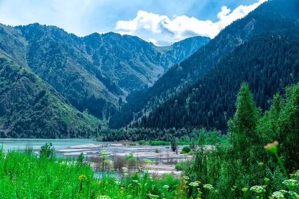 Issyk Gölü, Almaty, Kazakistan. Dağların ve yeşil çimenli ağaçların arka planında mavi suyu olan dağ gölü
