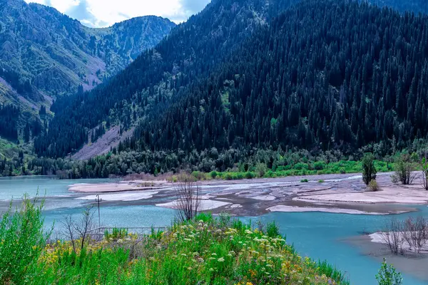 Issyk Gölü, Almaty, Kazakistan. Çok güzel bir manzara. Dağların ve yeşil çimenli ağaçların arka planında mavi suyu olan dağ gölü