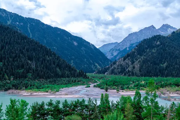 Issyk Gölü, Almaty, Kazakistan. Dağların arka planında mavi suyla dağ gölü ve akan bir nehrin ağzına tepeden bakan yeşil çimenli ağaçlar 1693 'teki bir çamur akışının sonuçlarıyla birlikte.